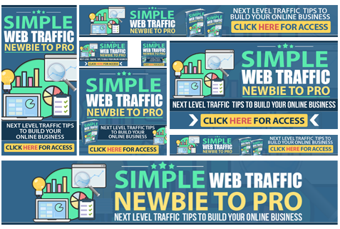 Product Review: Simple Web Traffic Newbie to Pro