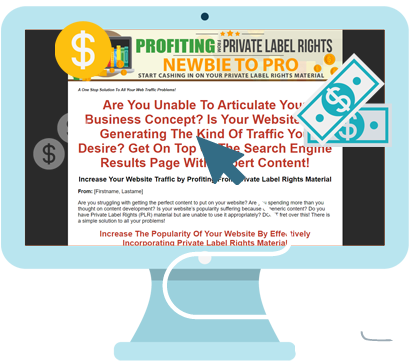 Product Review: Profiting From Private Label Rights Newbie to Pro